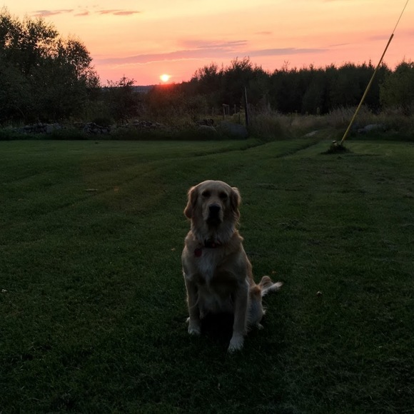 Meet your Posher, Angel - Picture 1 of 1